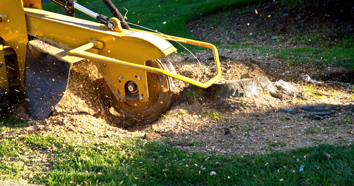 MoKan Stump Grinders